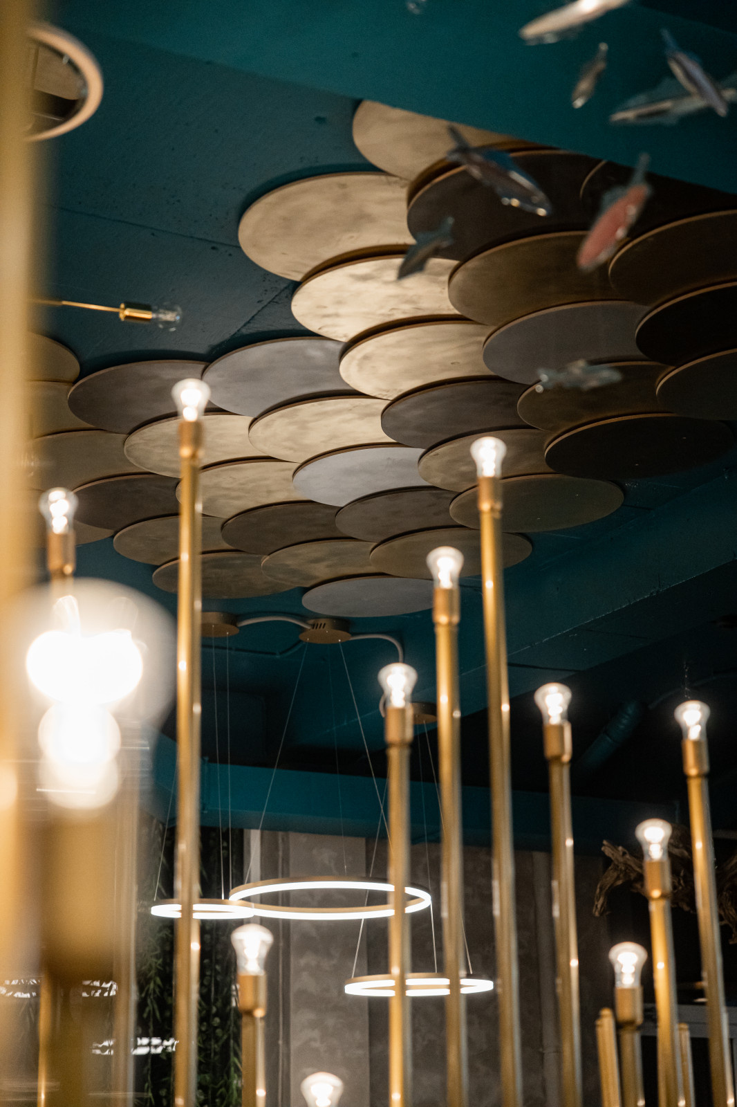 KOI IZAKAY - японский гастро-паб