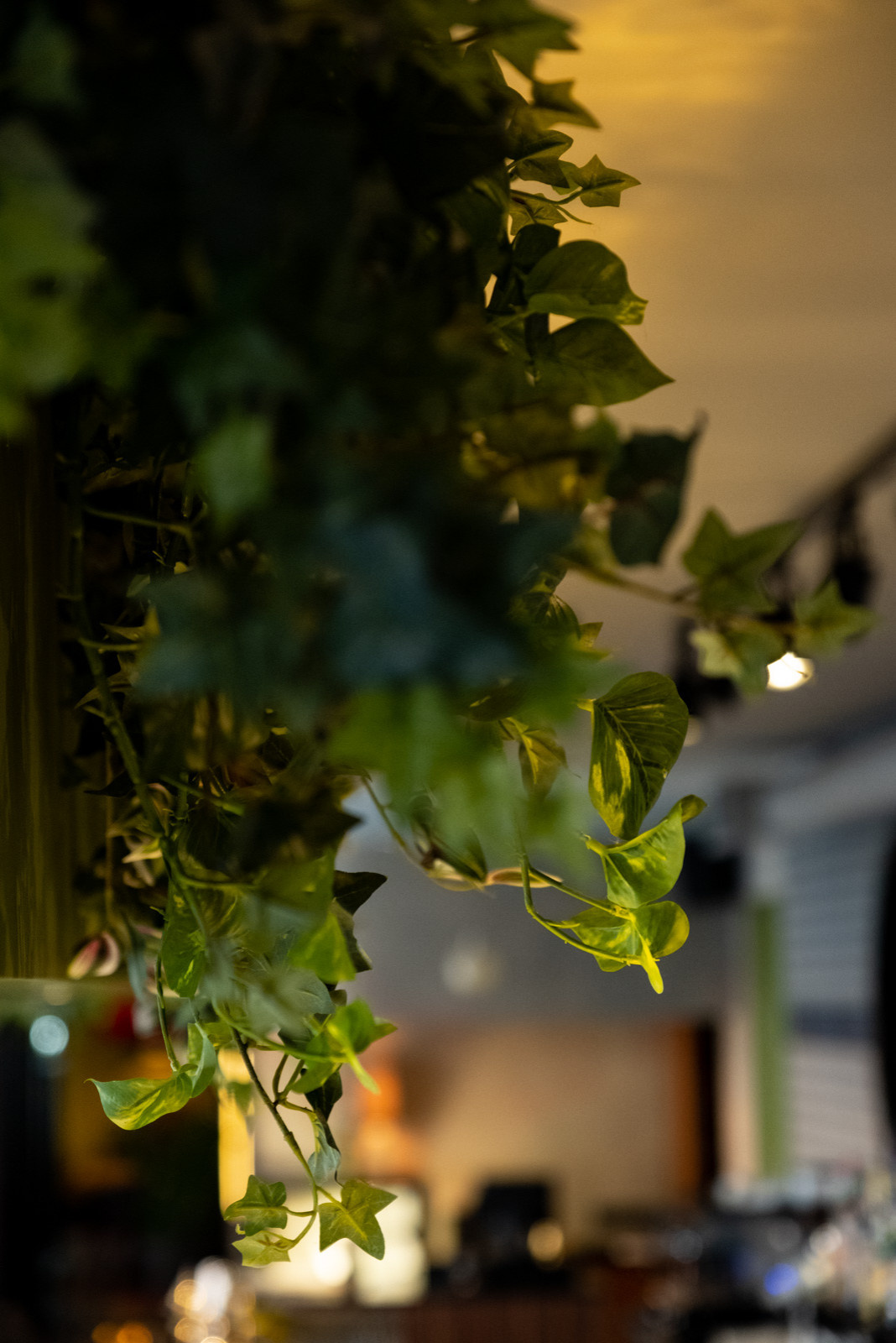 Озеленение ресторана