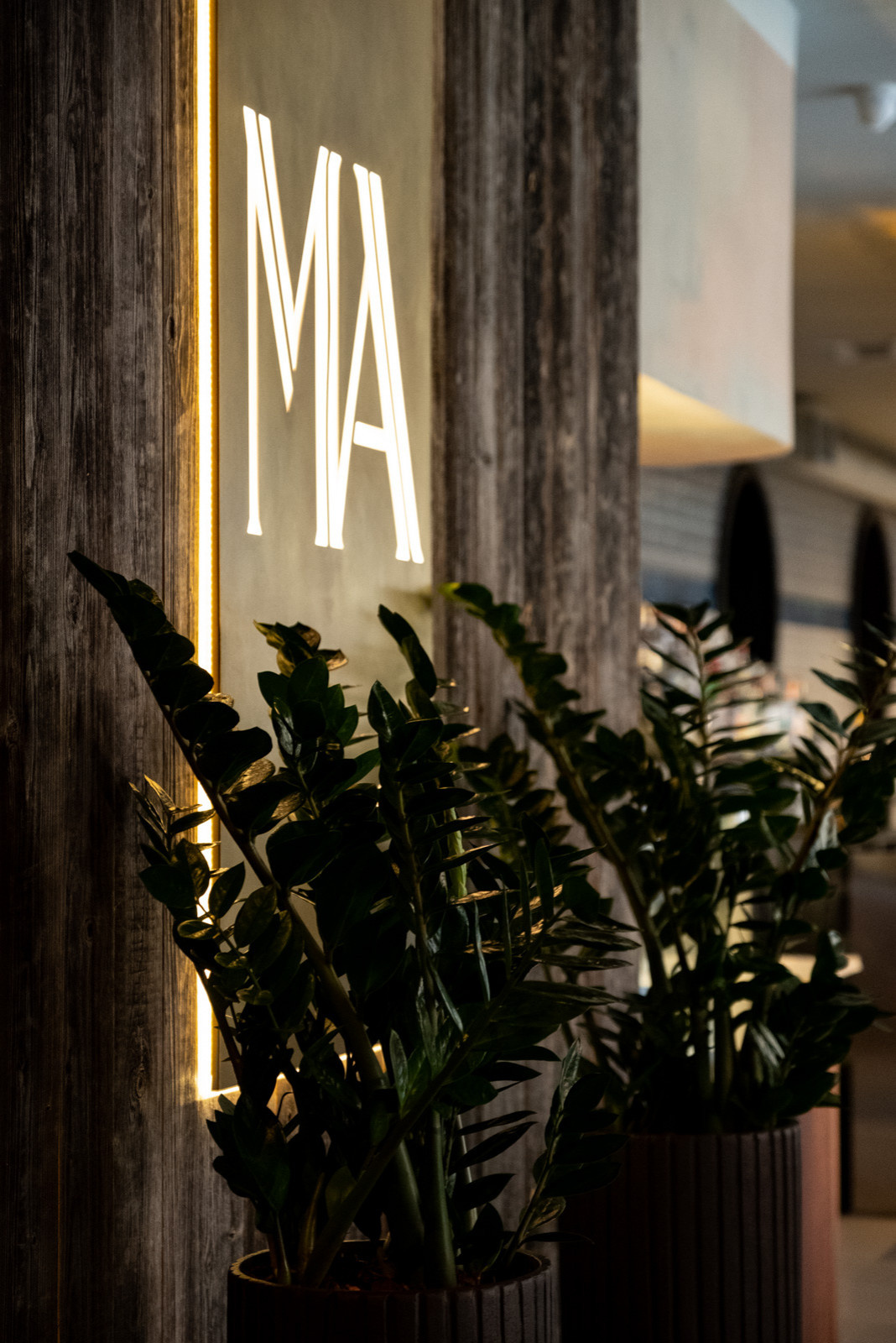 Озеленение ресторана