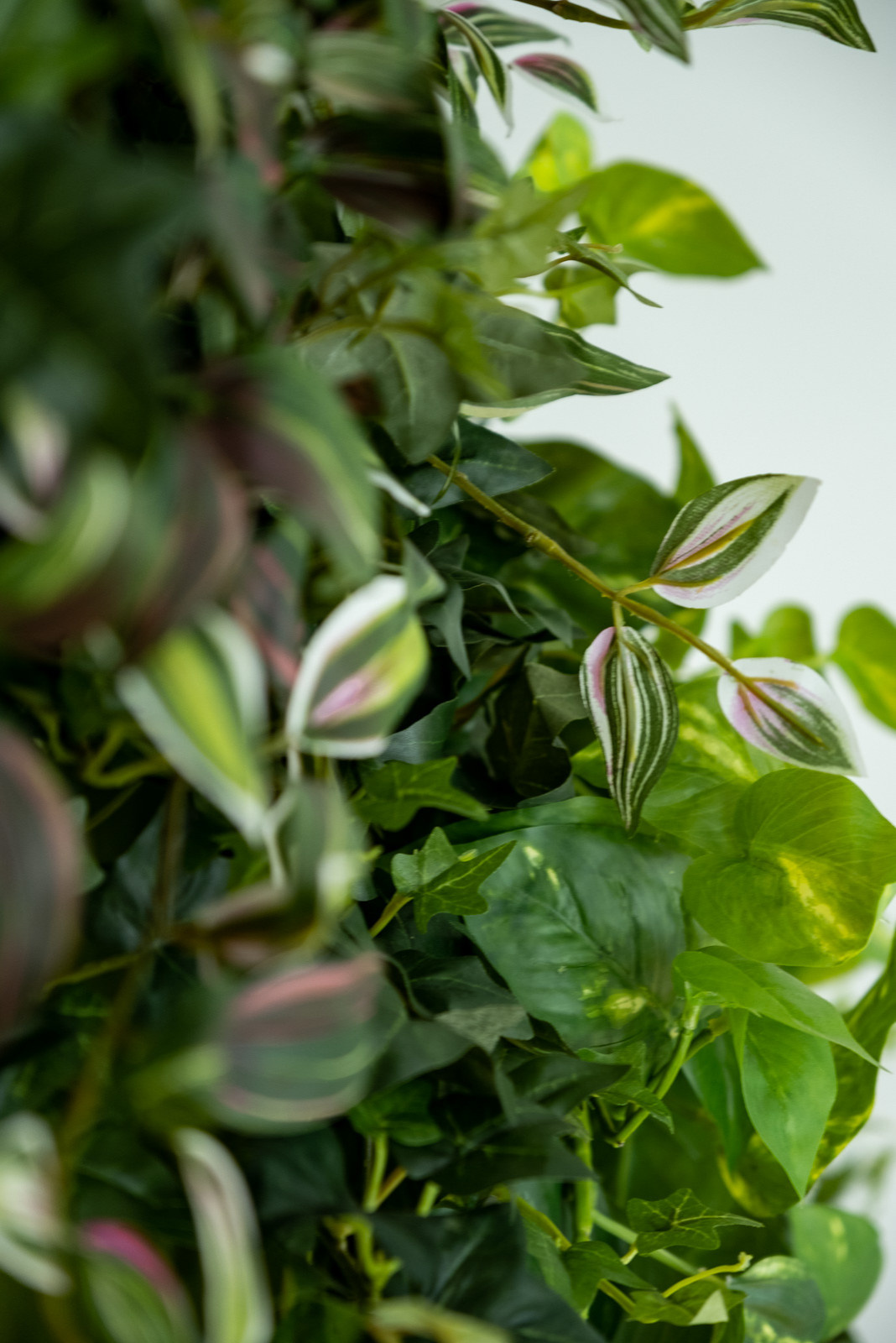 Озеленение ресторана