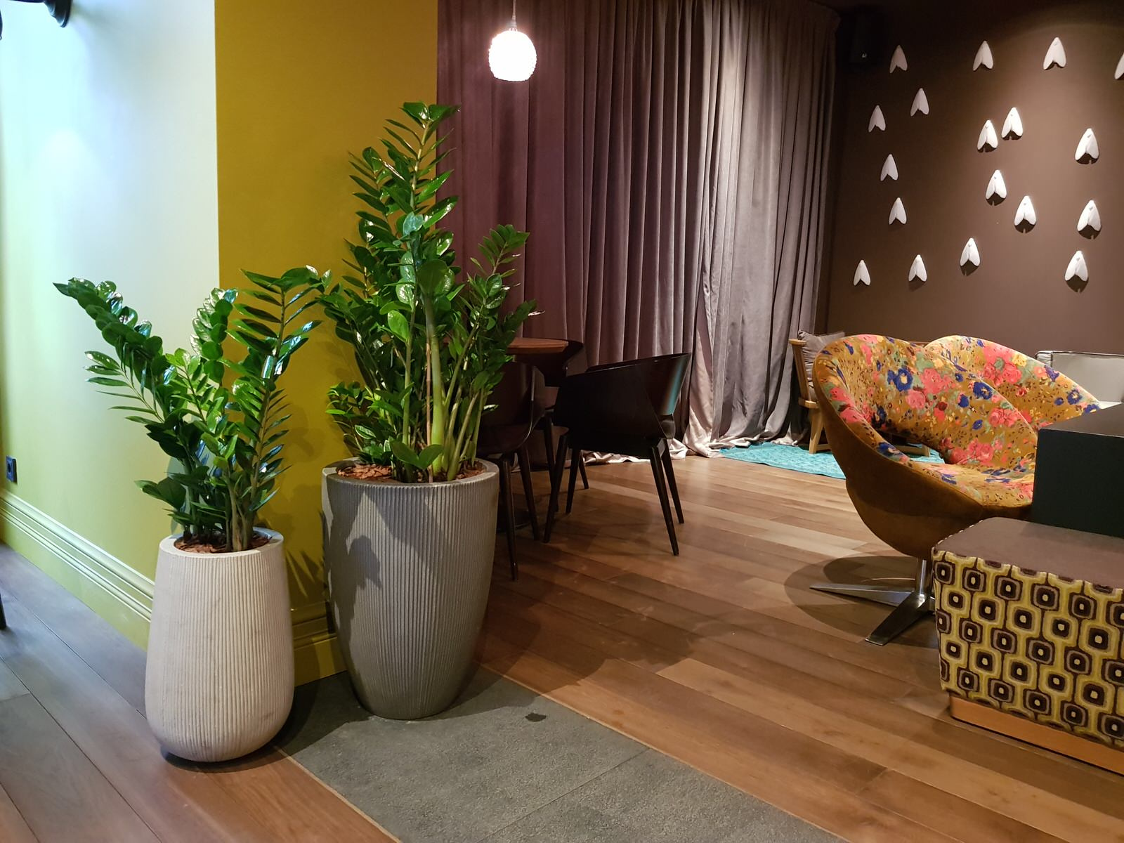 Озеленение ресторана на улице Рубинштейна