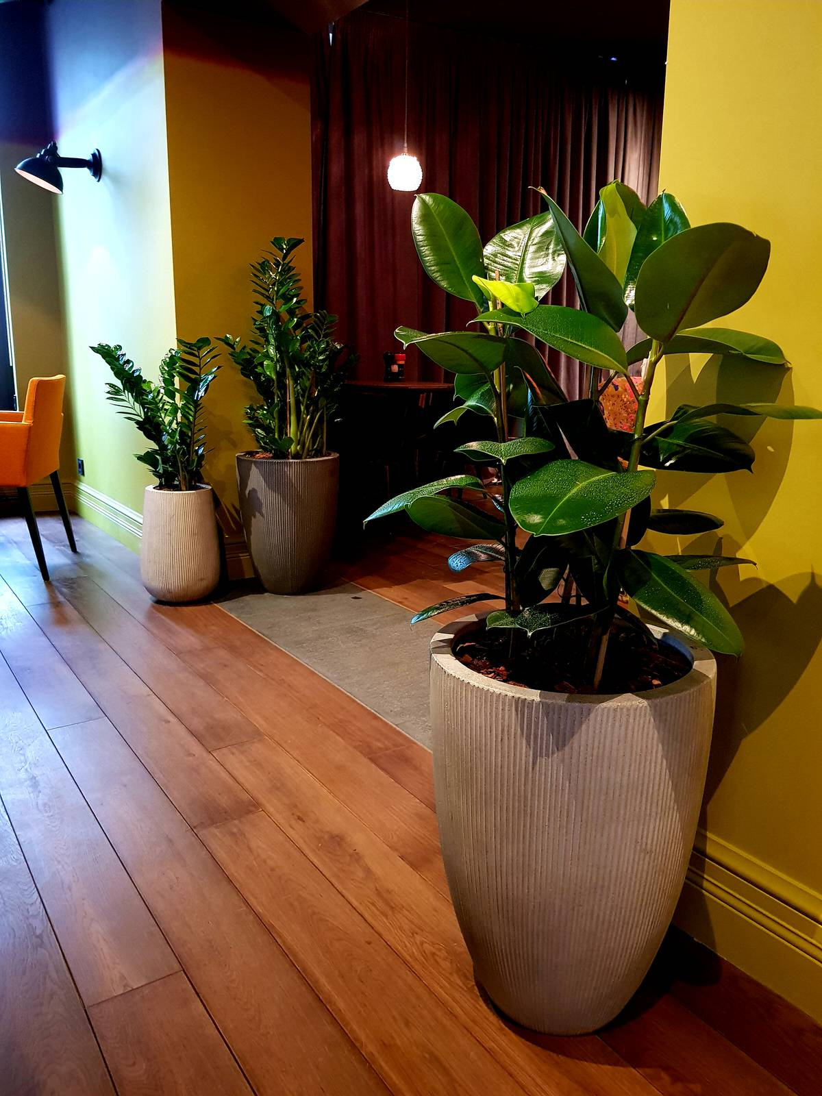 Обложка проекта: Озеленение ресторана на улице Рубинштейна