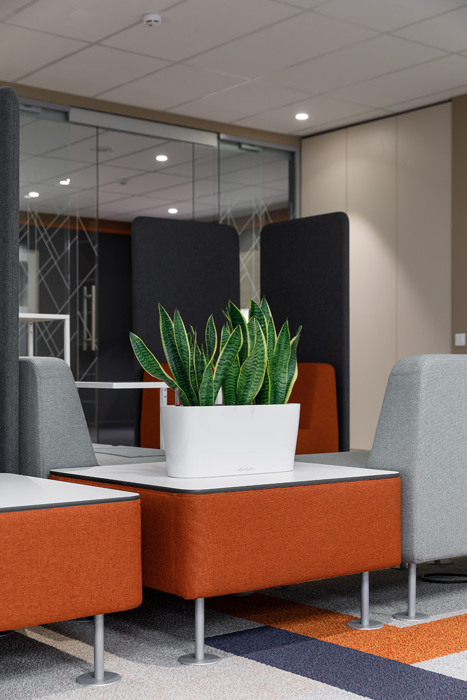 Озеленение офиса Kemira