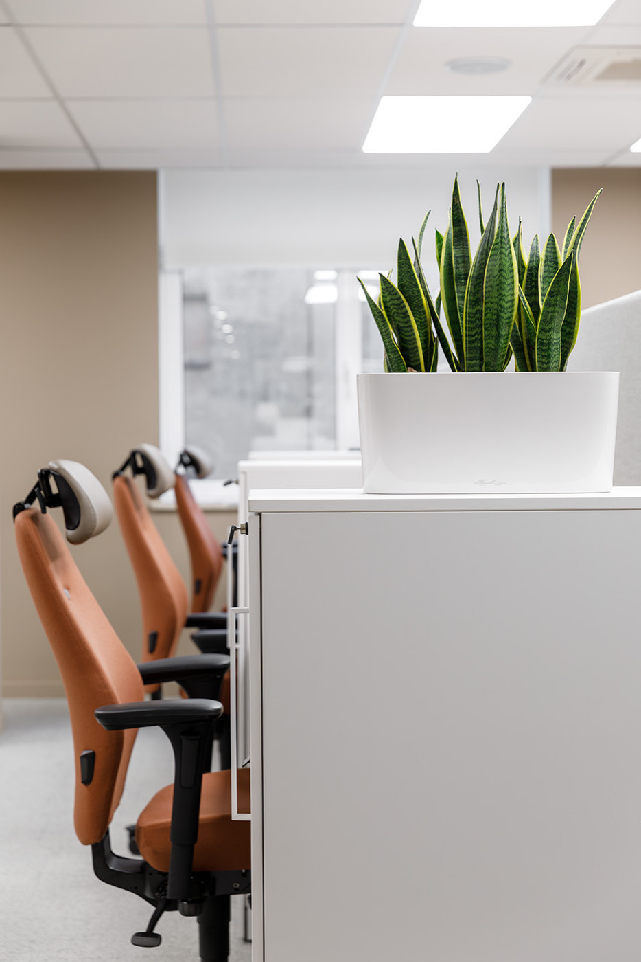 Озеленение офиса Kemira