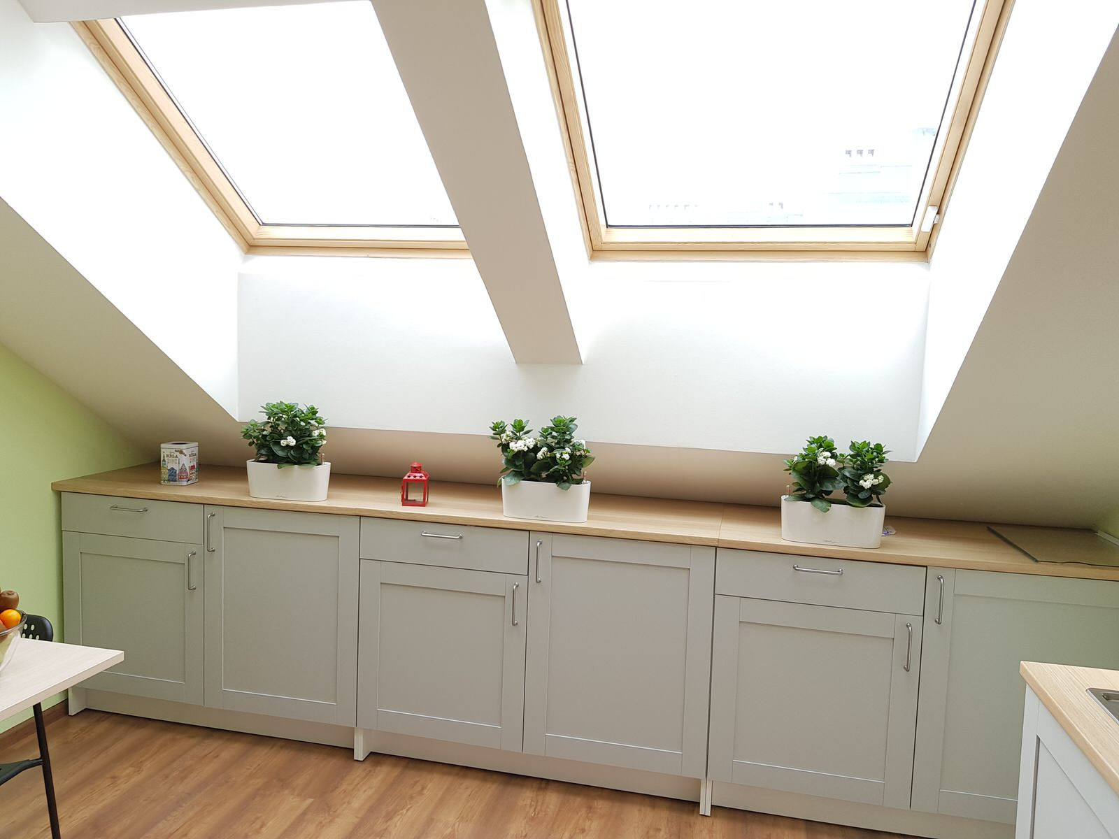 Озеленение офиса компании Кефир