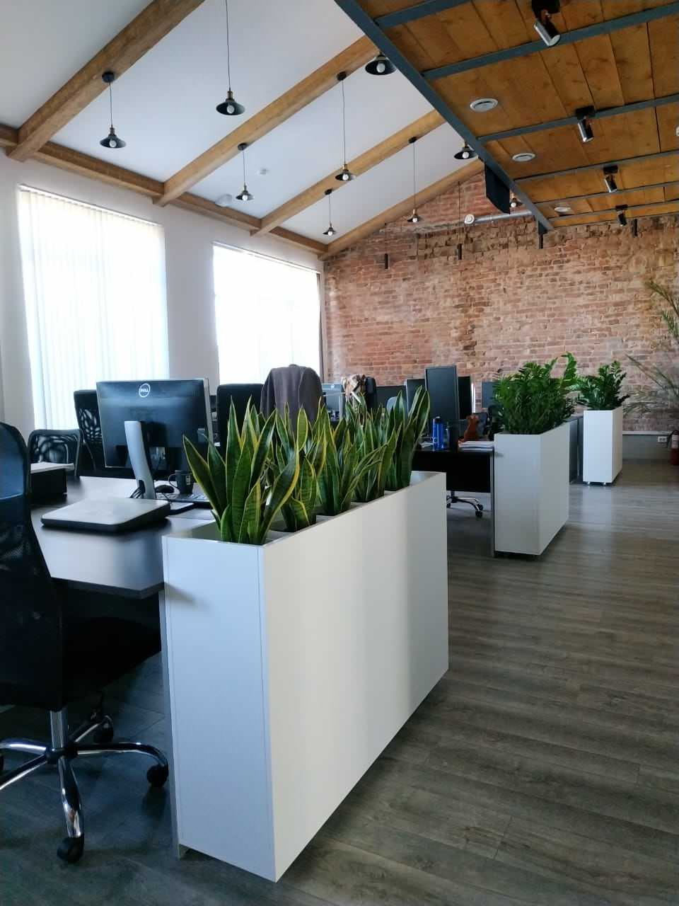 Озеленение офиса компании Кефир