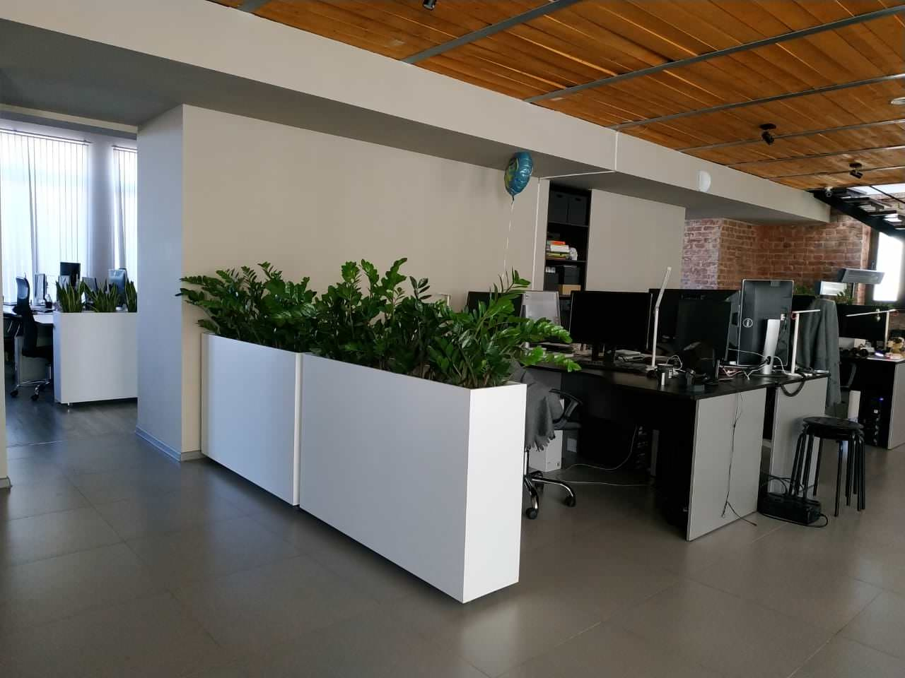 Озеленение офиса компании Кефир