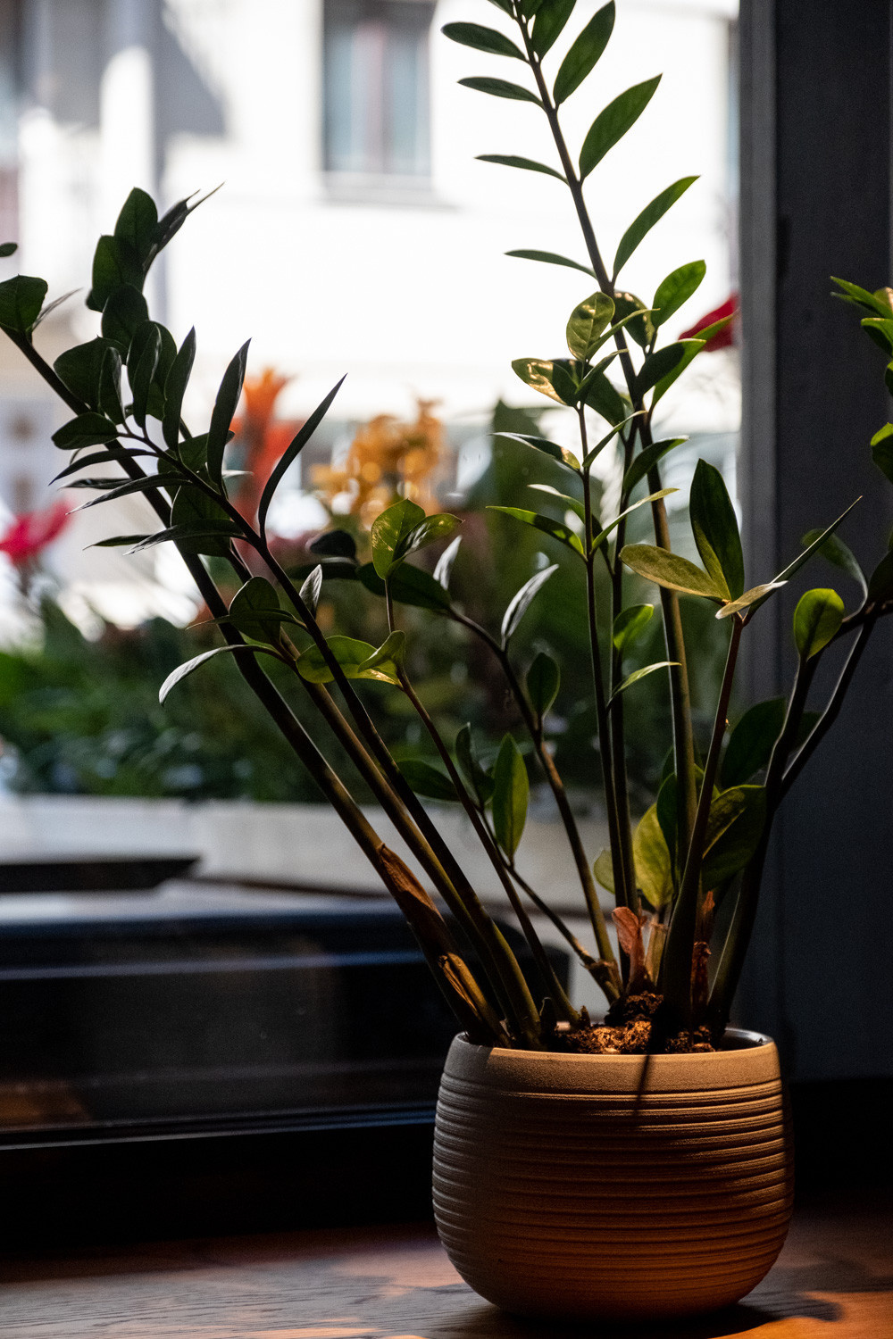 Бар-ресторан Papaya