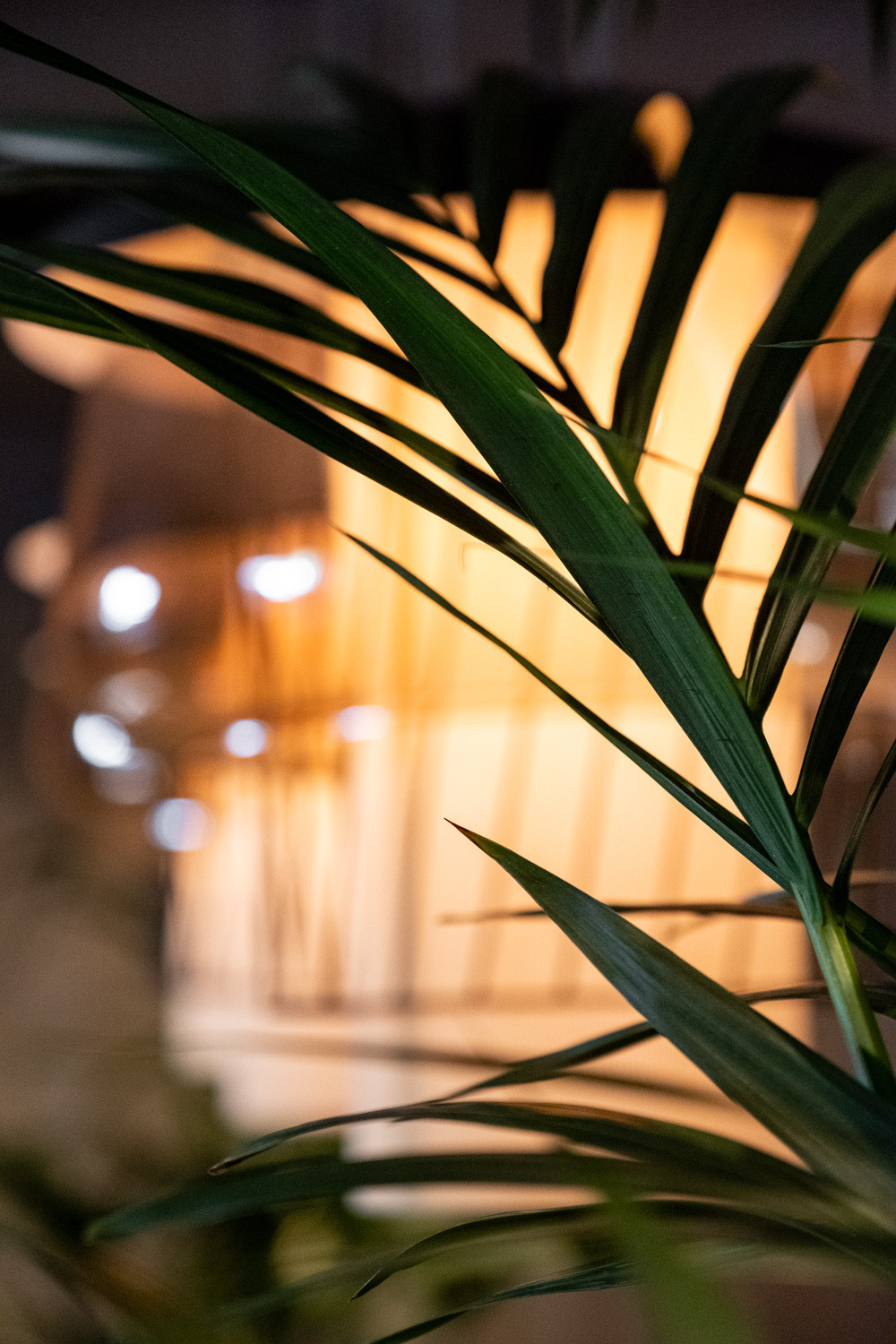 Бар-ресторан Papaya