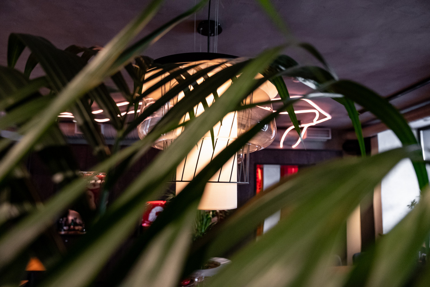 Обложка проекта: Бар-ресторан Papaya