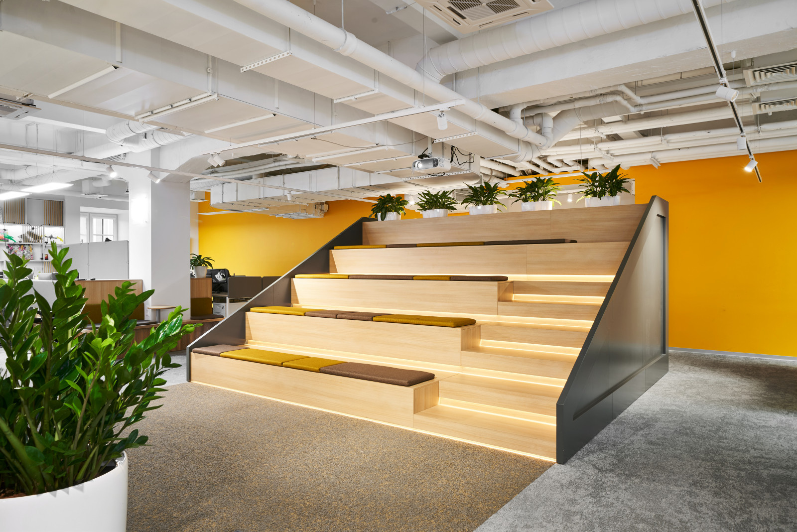 Озеленение помещения Kassir.ru