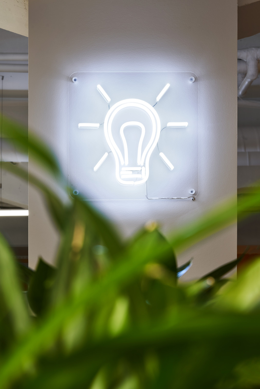 Озеленение помещения Kassir.ru