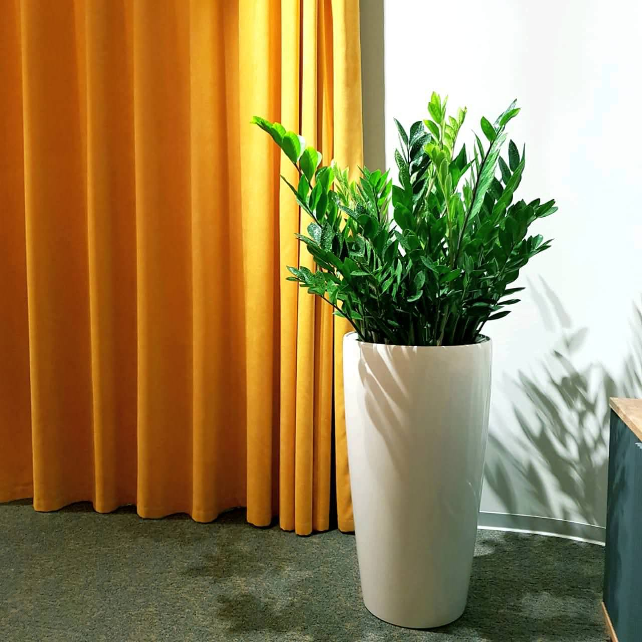 Обложка проекта: Озеленение помещения Kassir.ru