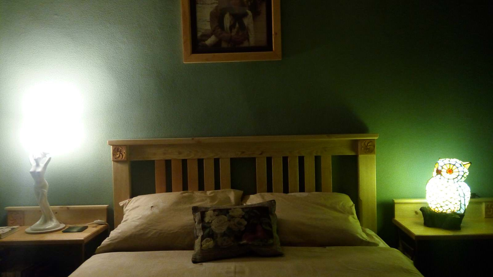 Строительство дома у пруда с лебедями