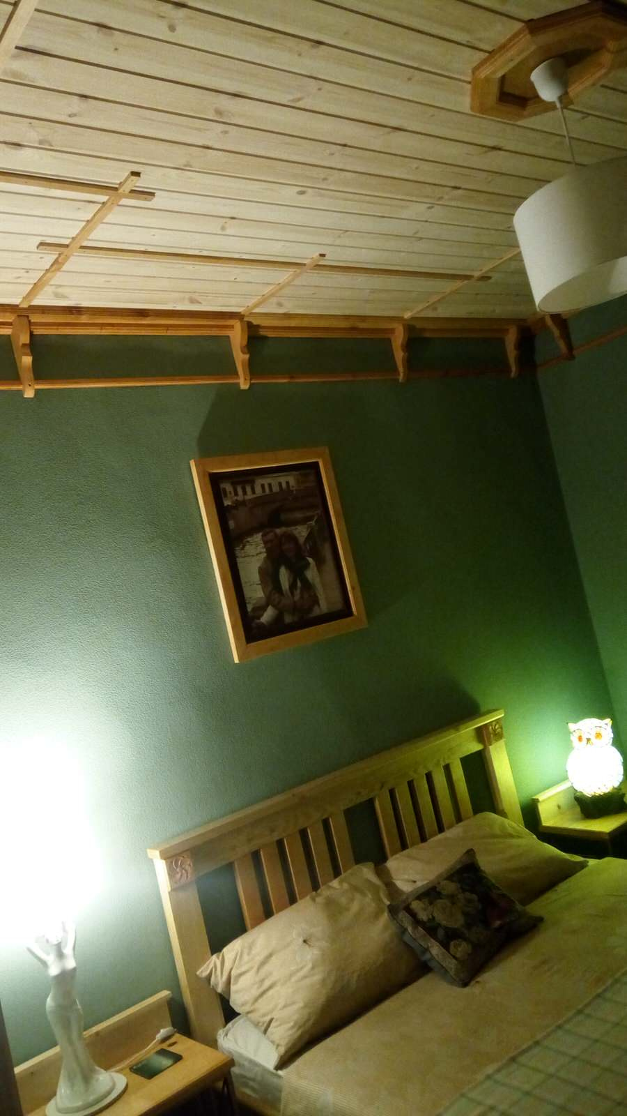 Строительство дома у пруда с лебедями