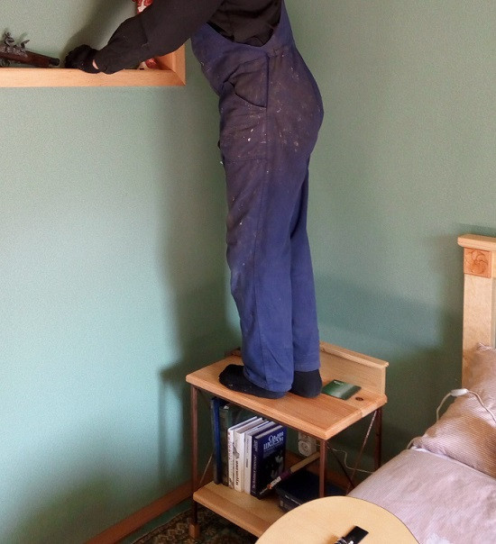 Строительство дома у пруда с лебедями