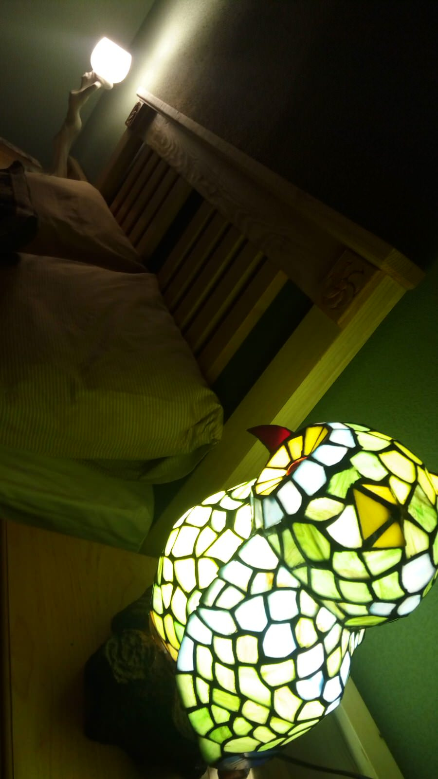 Строительство дома у пруда с лебедями