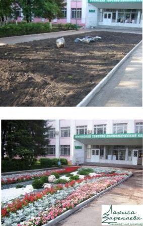 Ландшафтные работы