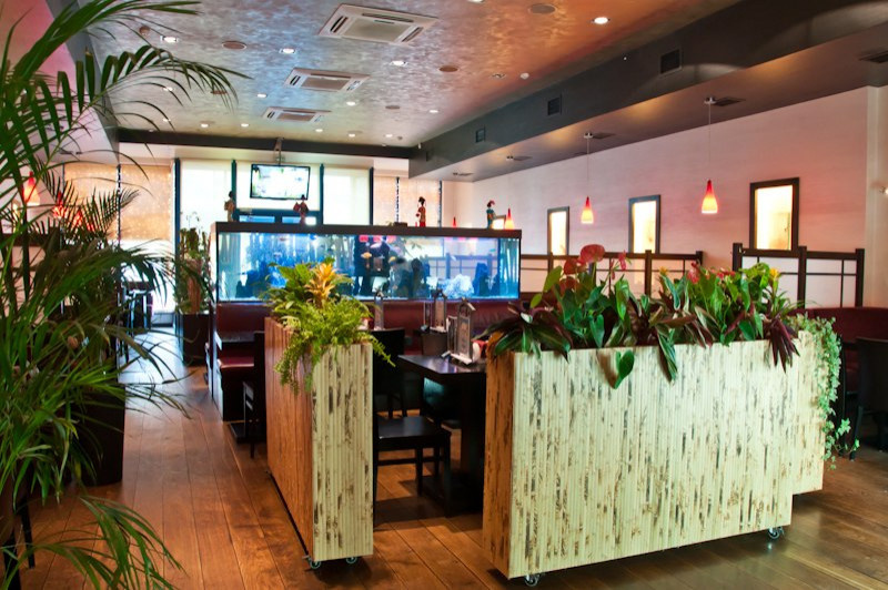 Обложка проекта: Кидзи