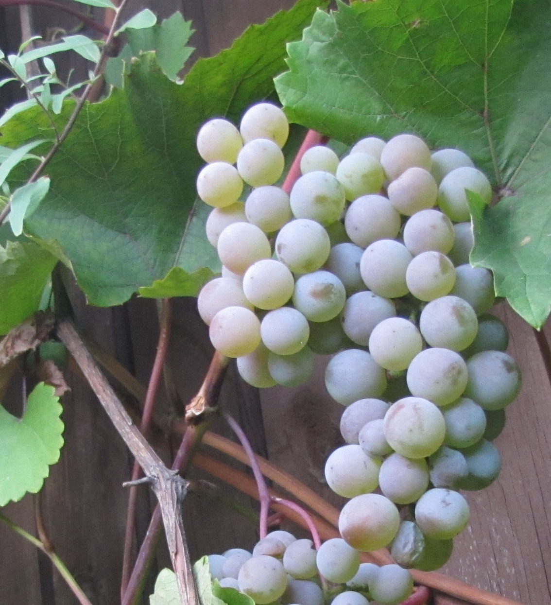 Преображение