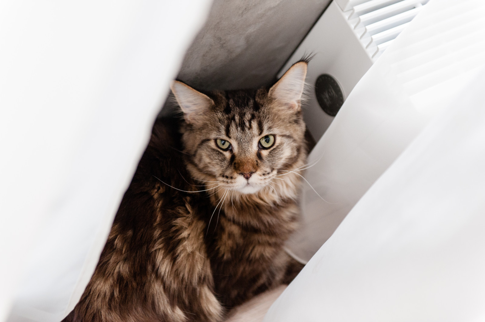 Стихия бетона