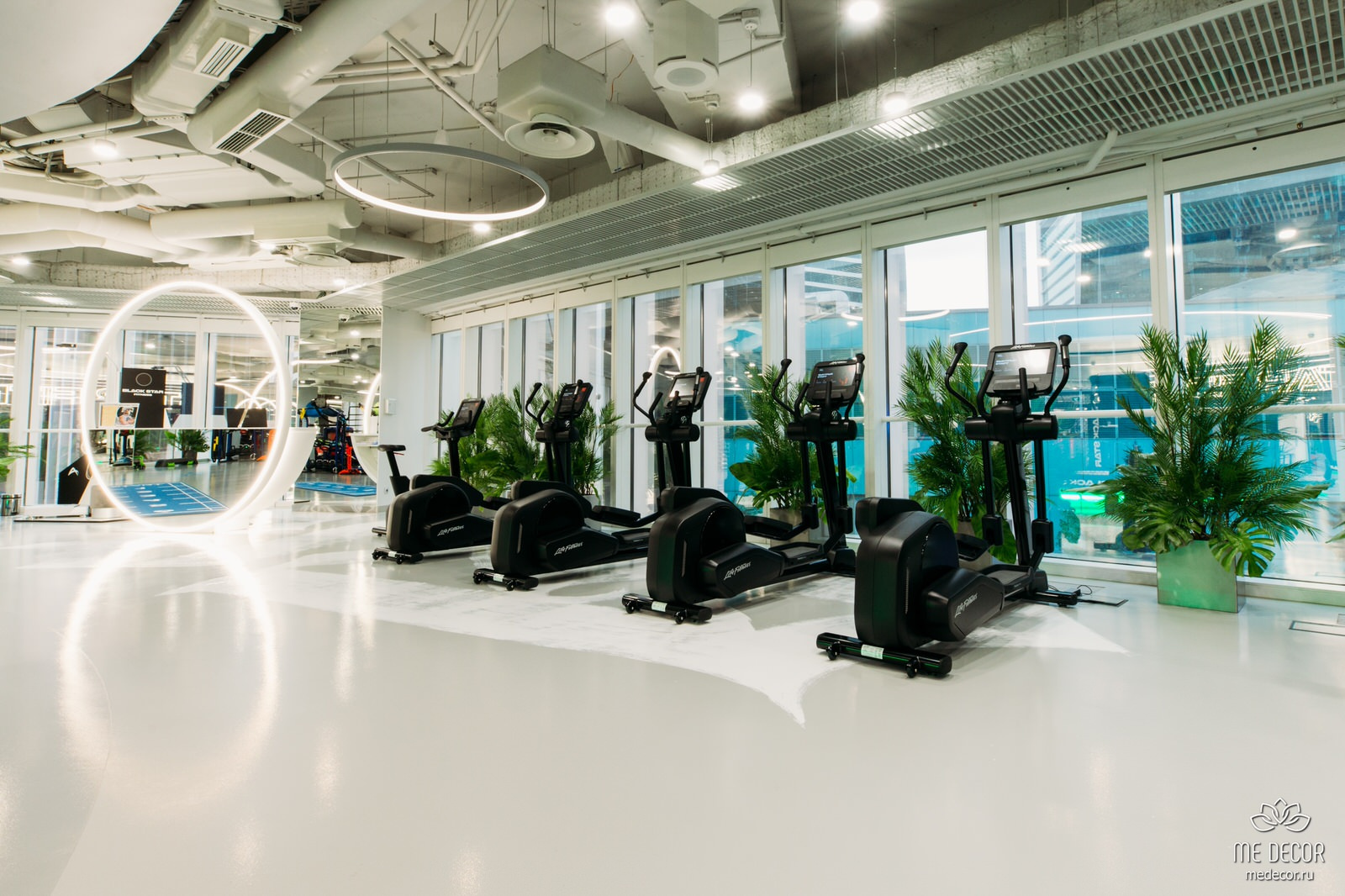 Озеленение фитнес-клуба Black Star Fitness