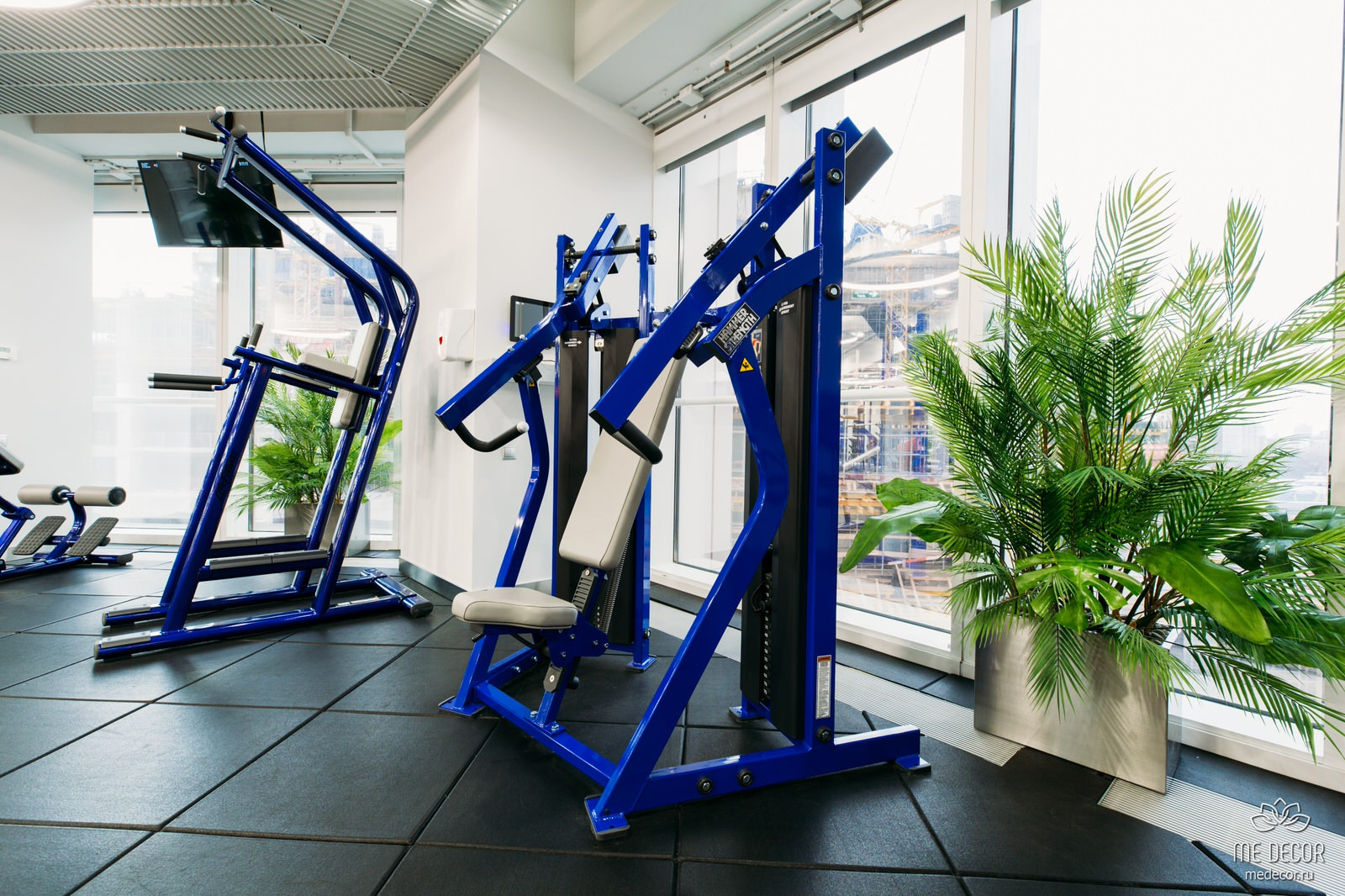 Озеленение фитнес-клуба Black Star Fitness