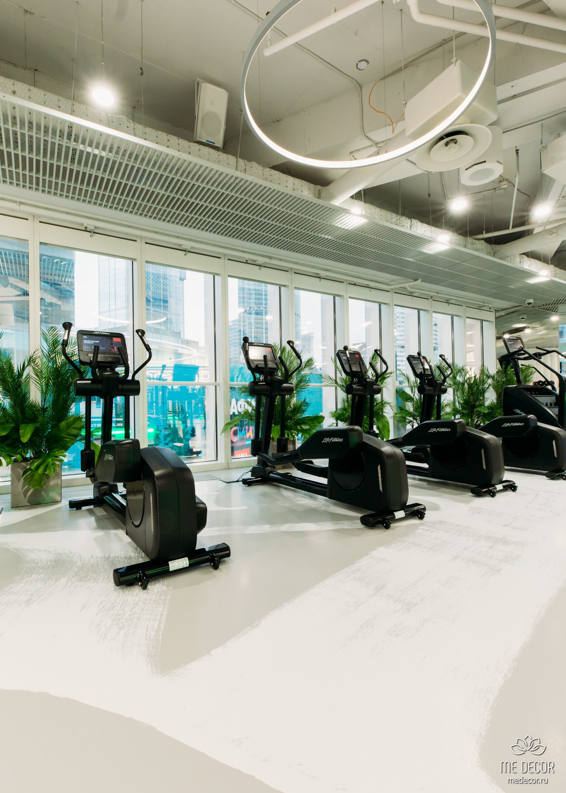 Озеленение фитнес-клуба Black Star Fitness