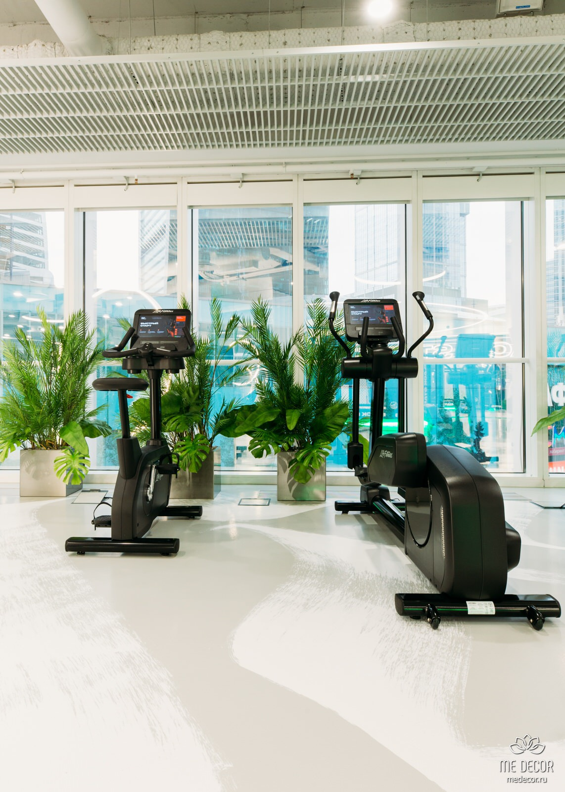 Озеленение фитнес-клуба Black Star Fitness