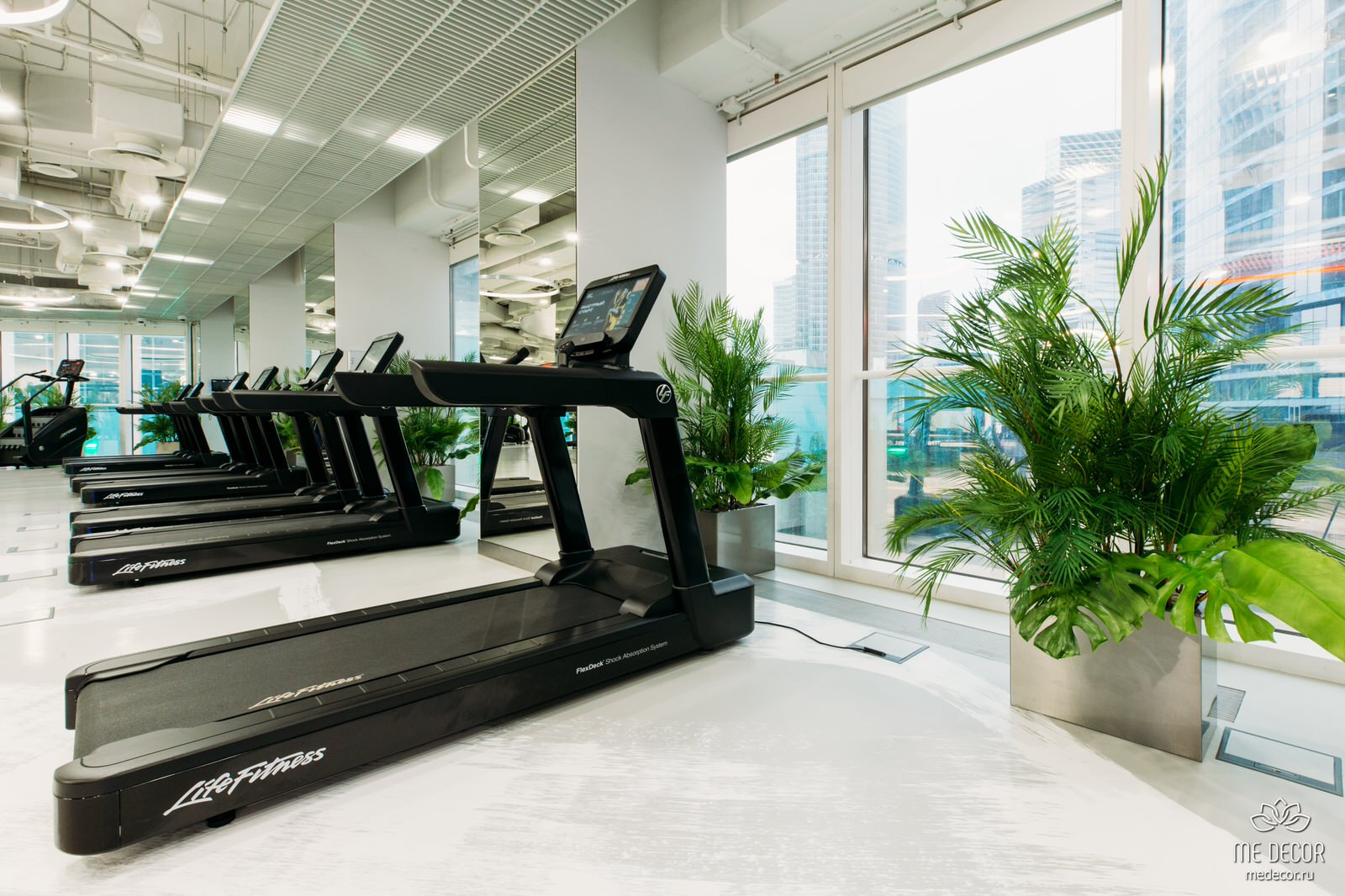 Озеленение фитнес-клуба Black Star Fitness