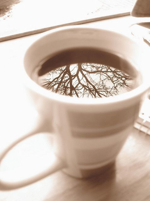 Кухня Ясень