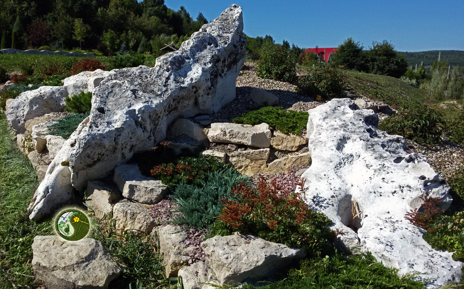 Обложка проекта: Березовка