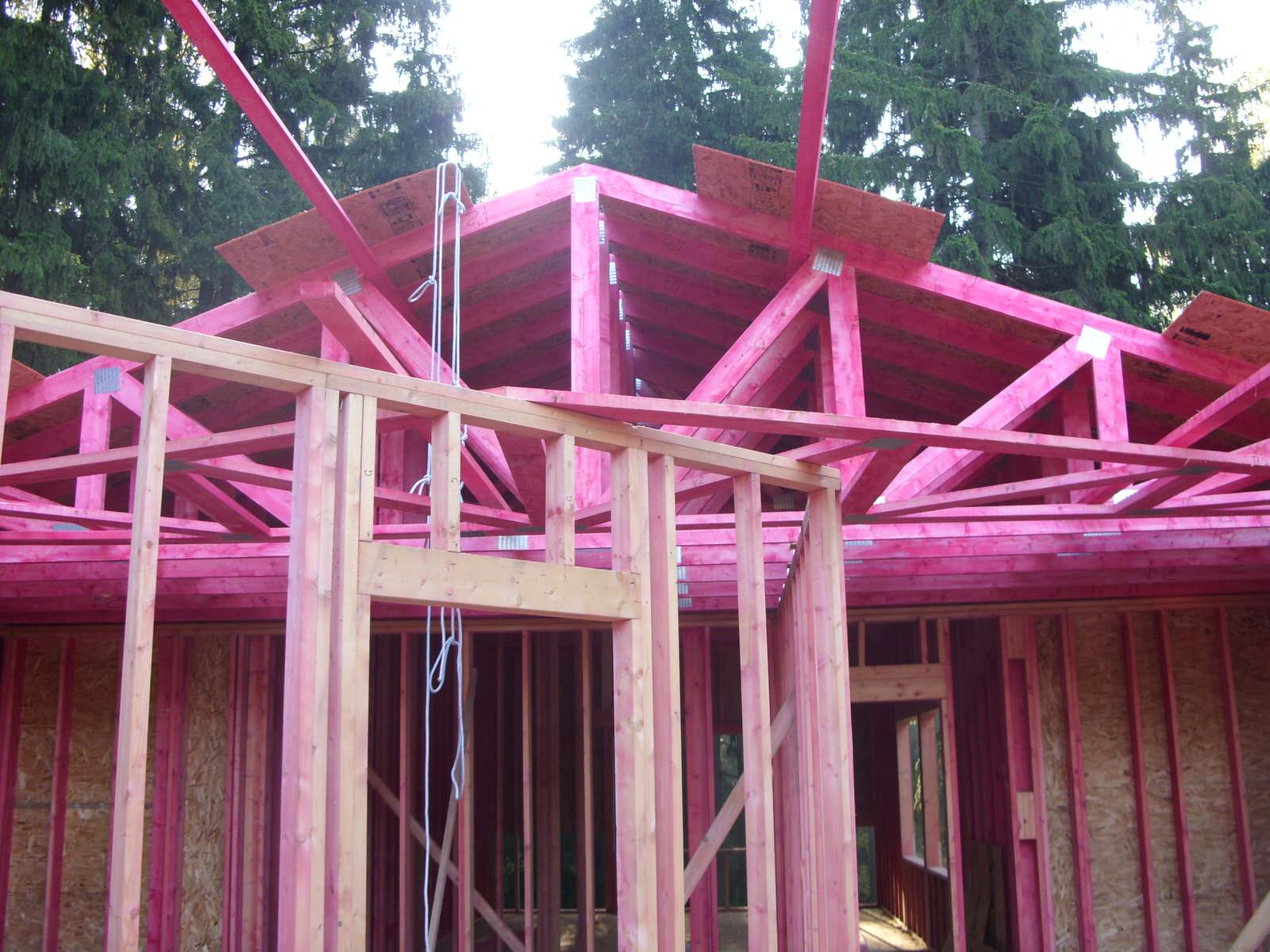 Каркас дома