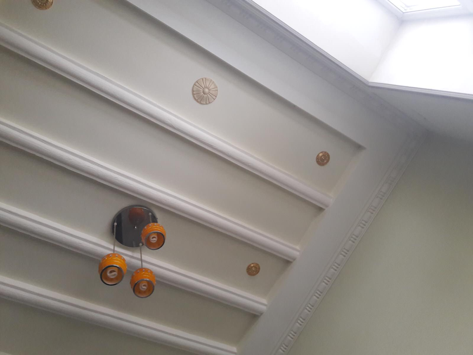 Метаморфозы