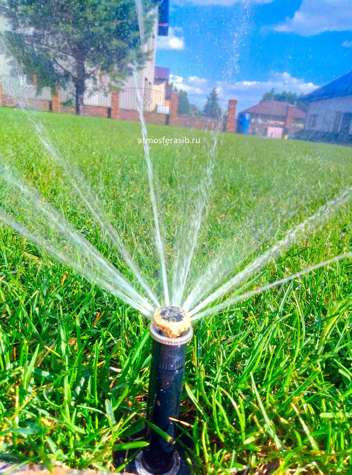 Ландшафт под ключ