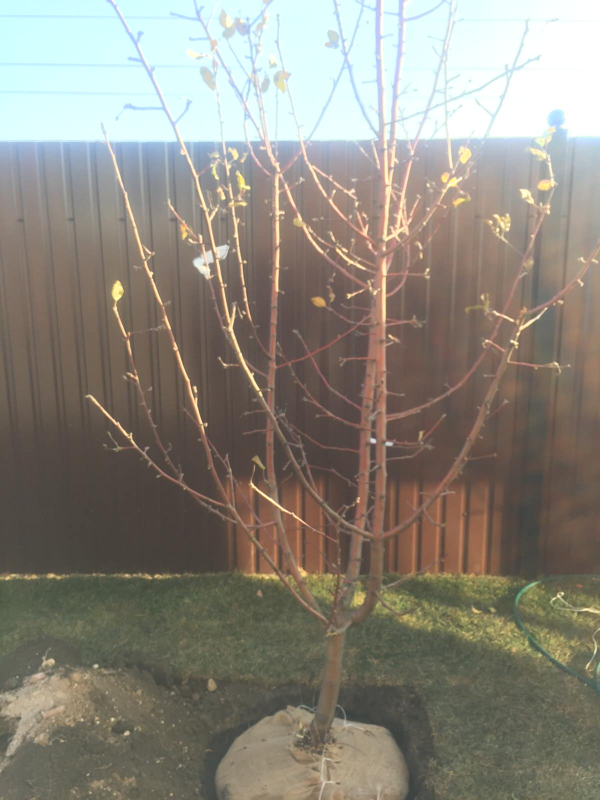 Московская