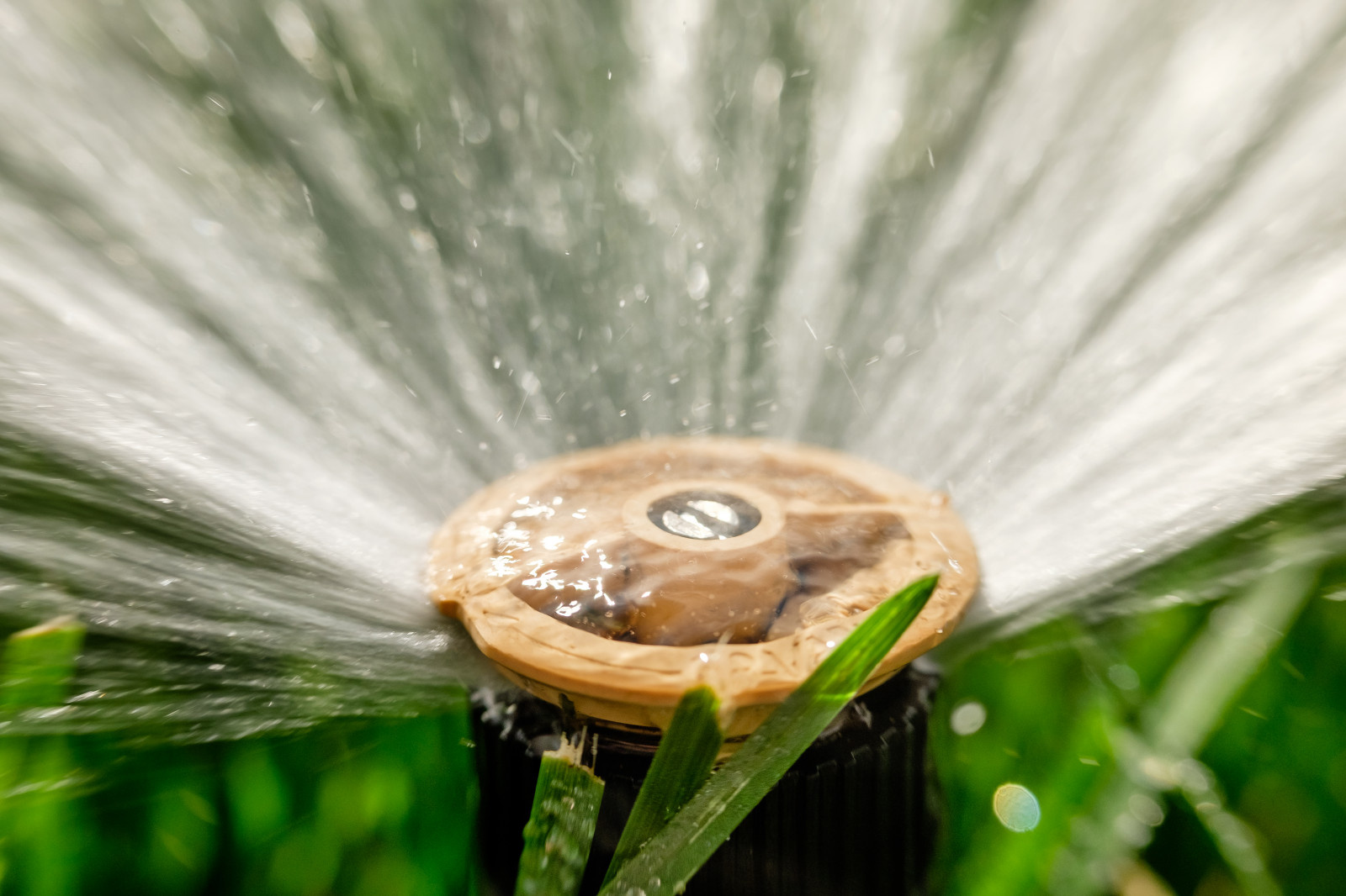 Примеры работ