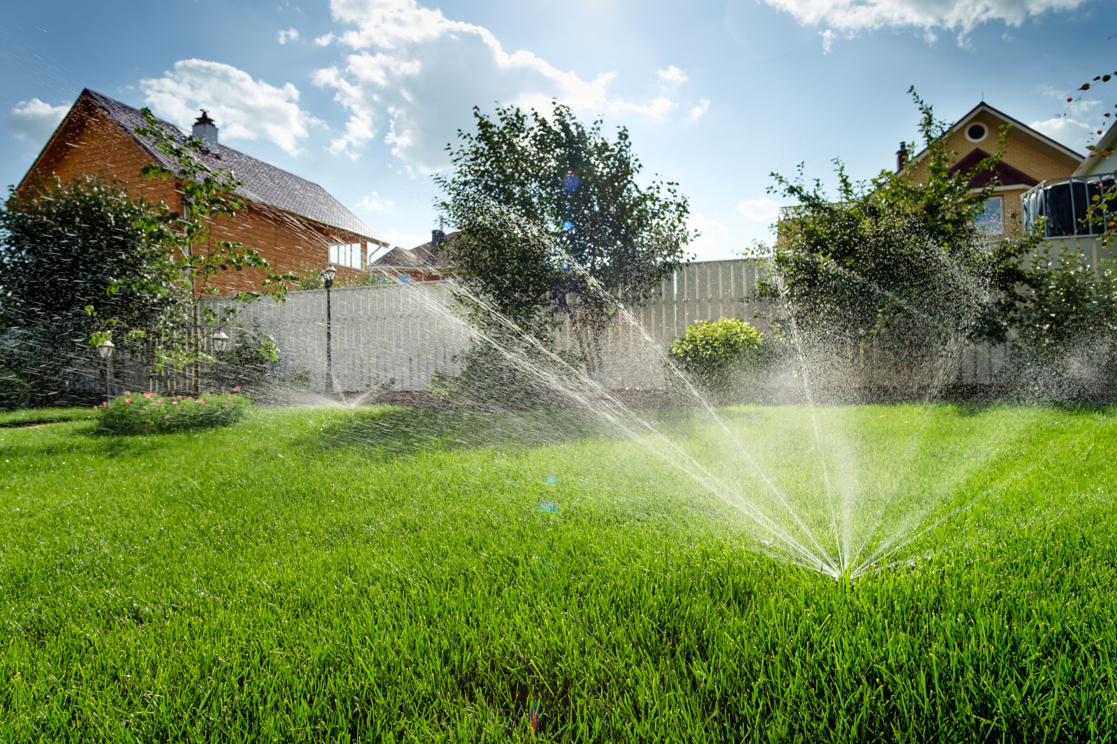 Примеры работ