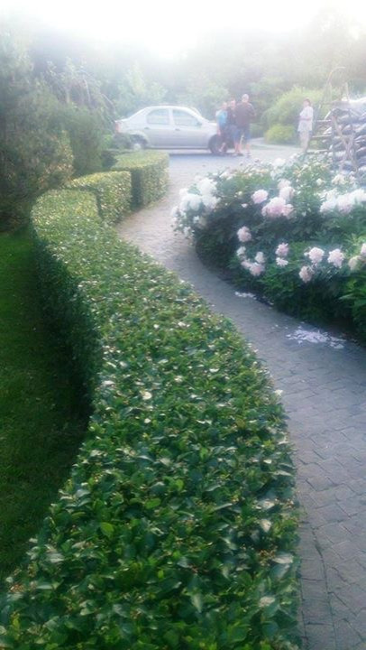 Сенькино московская обл