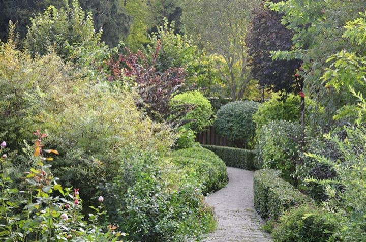 Сенькино московская обл