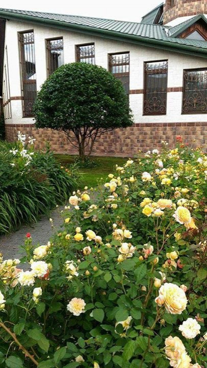 Сенькино московская обл