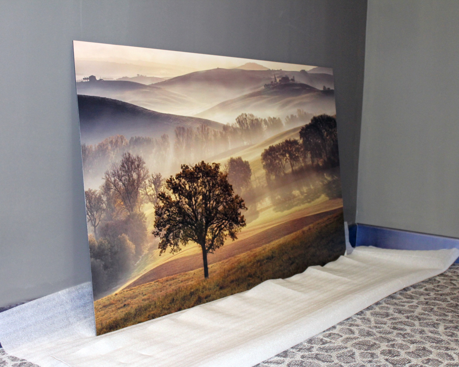 Обложка проекта: Фотокартина для зоны столовой