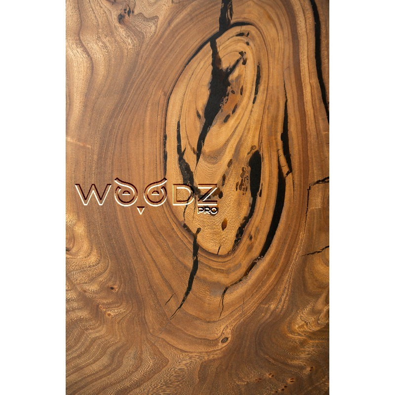 Model 2787
