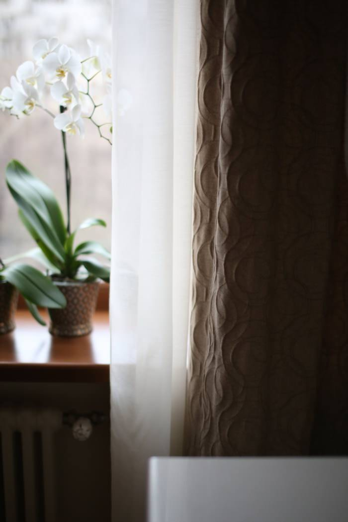 Квартира на Патриарших прудах