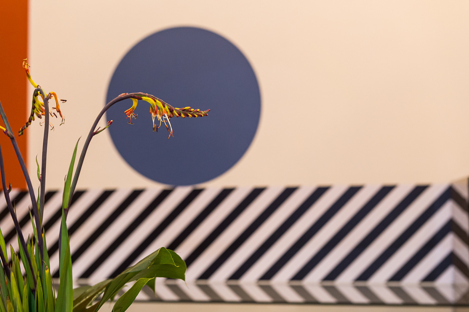 Идельное путешествие - Номер отеля на выставке Batimat