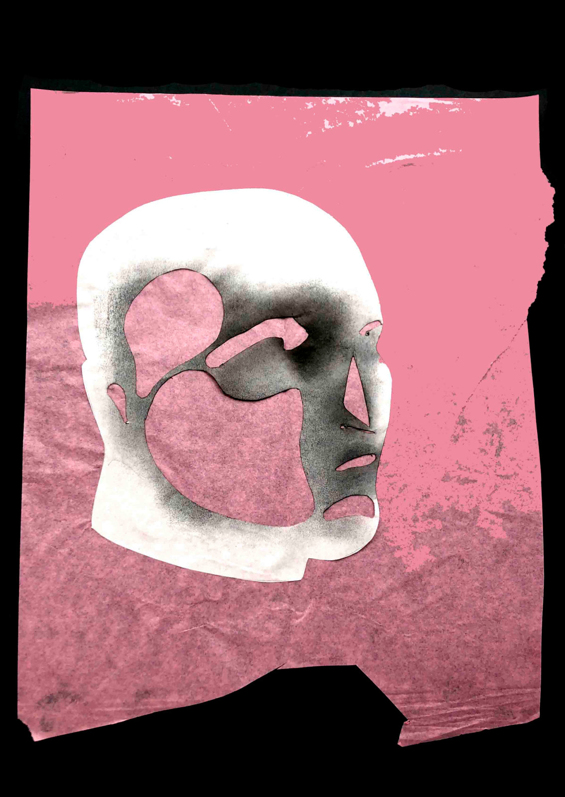 Портфолио (портрет)