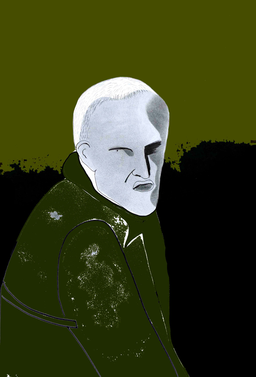 Портфолио (портрет)