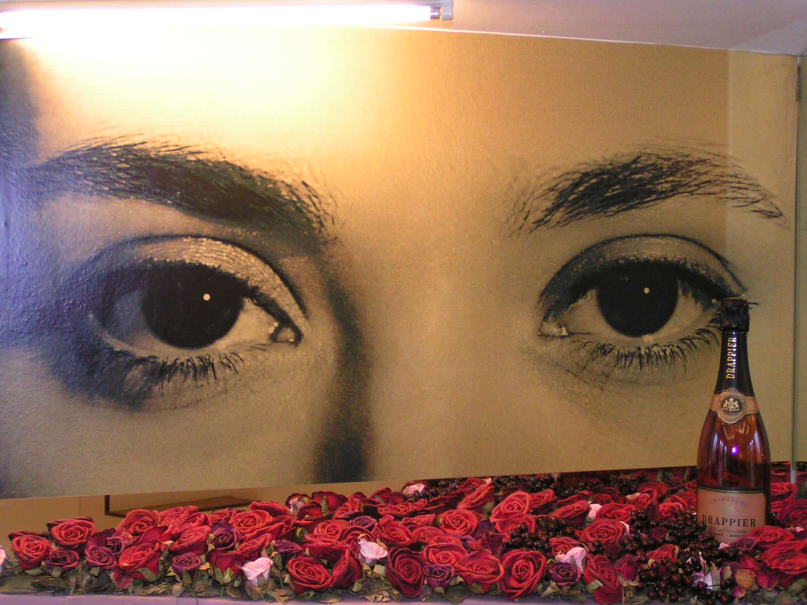 “ Shampagne Drappiere Gallery”.