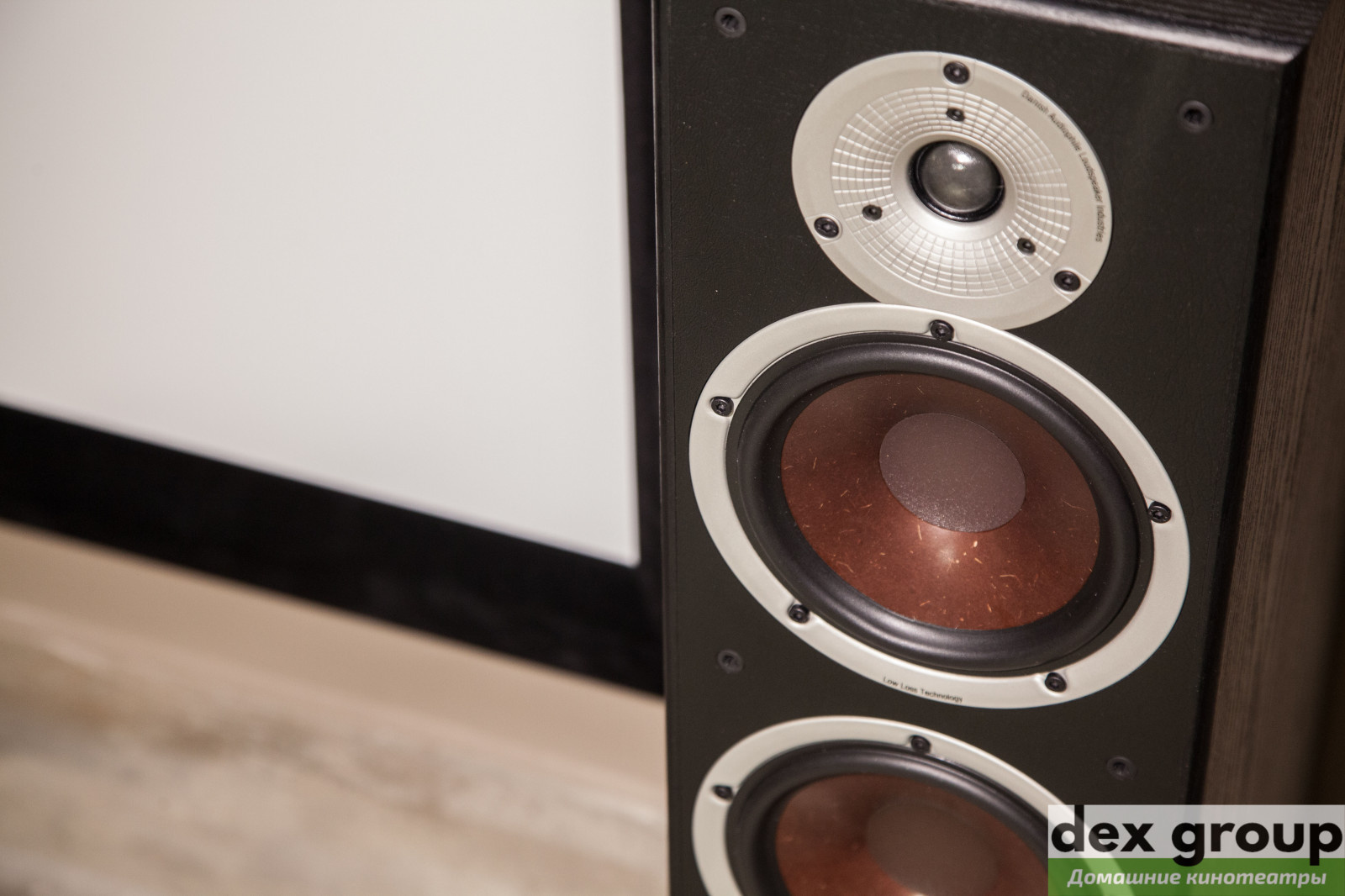 Домашний кинозал с караоке