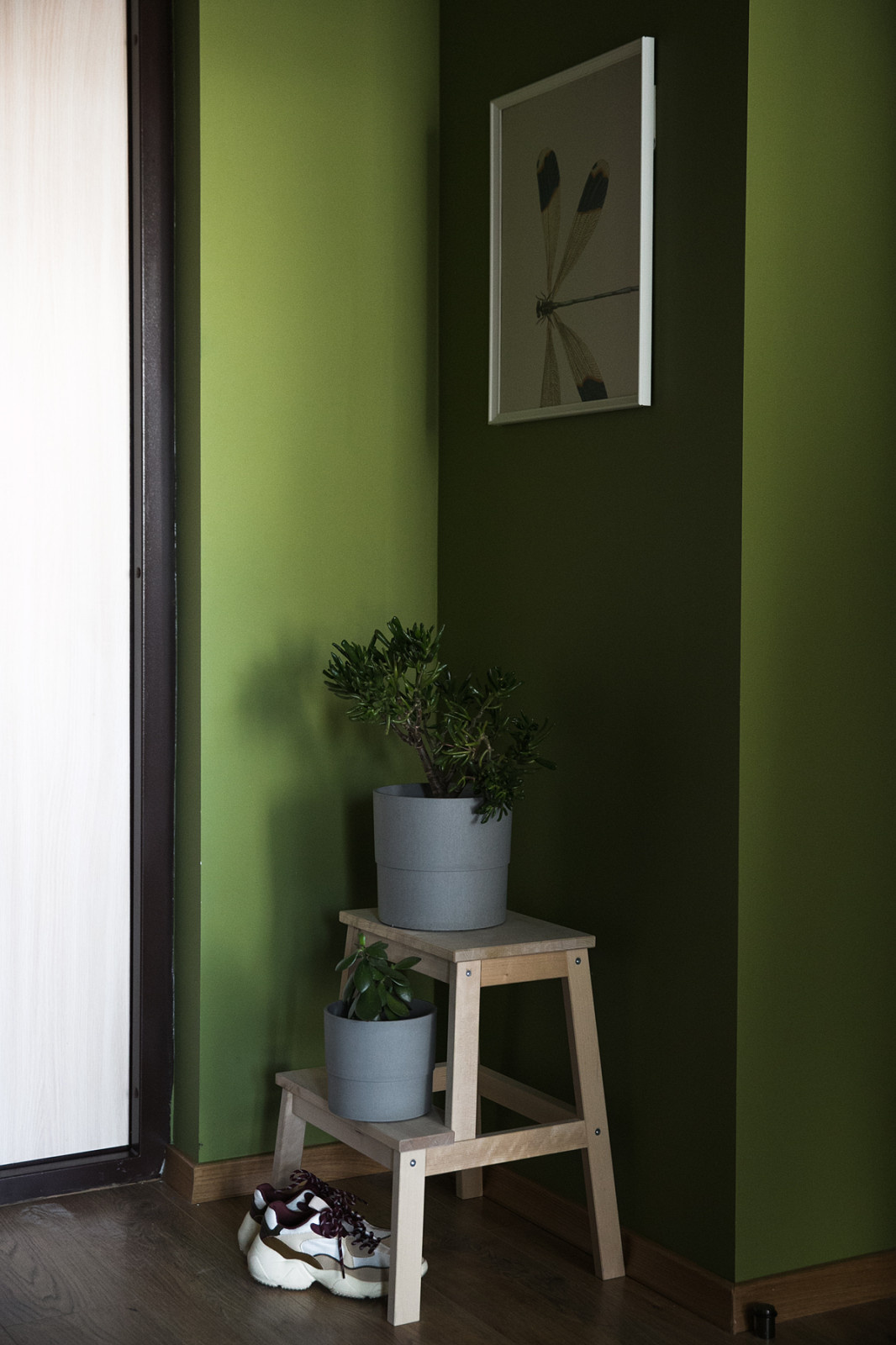 Однокомная квартира в сочных тонах